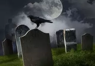Image: Dead Comedy Show