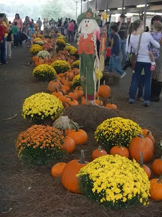 Image: 17th Annual Pumpkin Patch