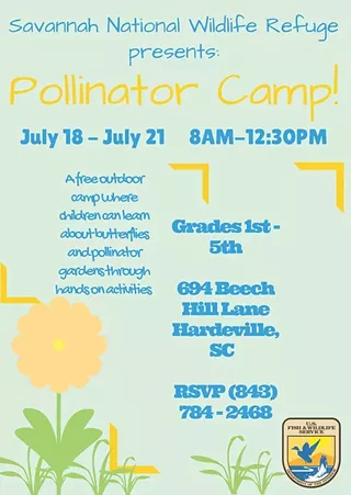 Image: Free Children's Pollinator Camp