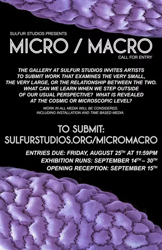 Image: Call for Entry: Micro/Macro
