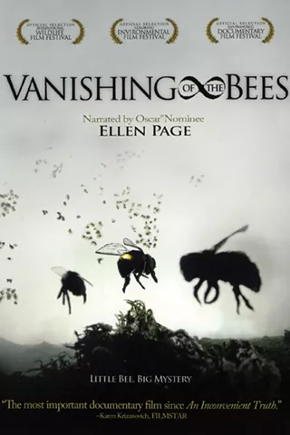 Image: Film: Vanishing Bees