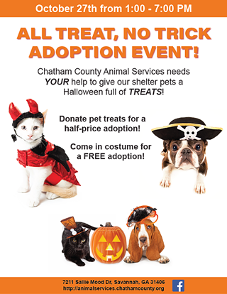 Image: All Treat No Trick Adoption Event