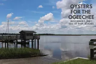 Image: Oysters for the Ogeechee