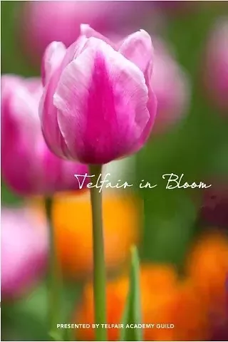 Image: Telfair in Bloom Freshen Up with Sybil, Luncheon and Lecture