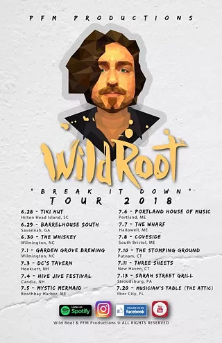 Image: Wild Root, The Ellameno Beat
