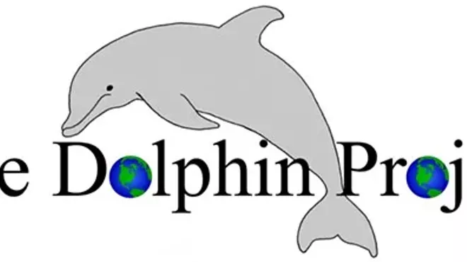 Image: Love dolphins?