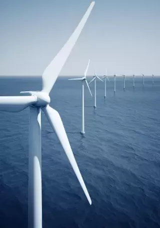 Image: Wind Turbines, Climate Change, and Piping Plovers