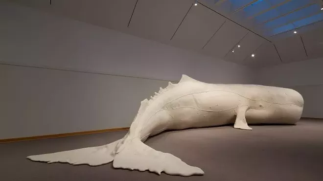 Image: A whale of an exhibition