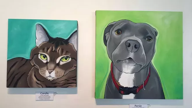 Image: A year in a kennel