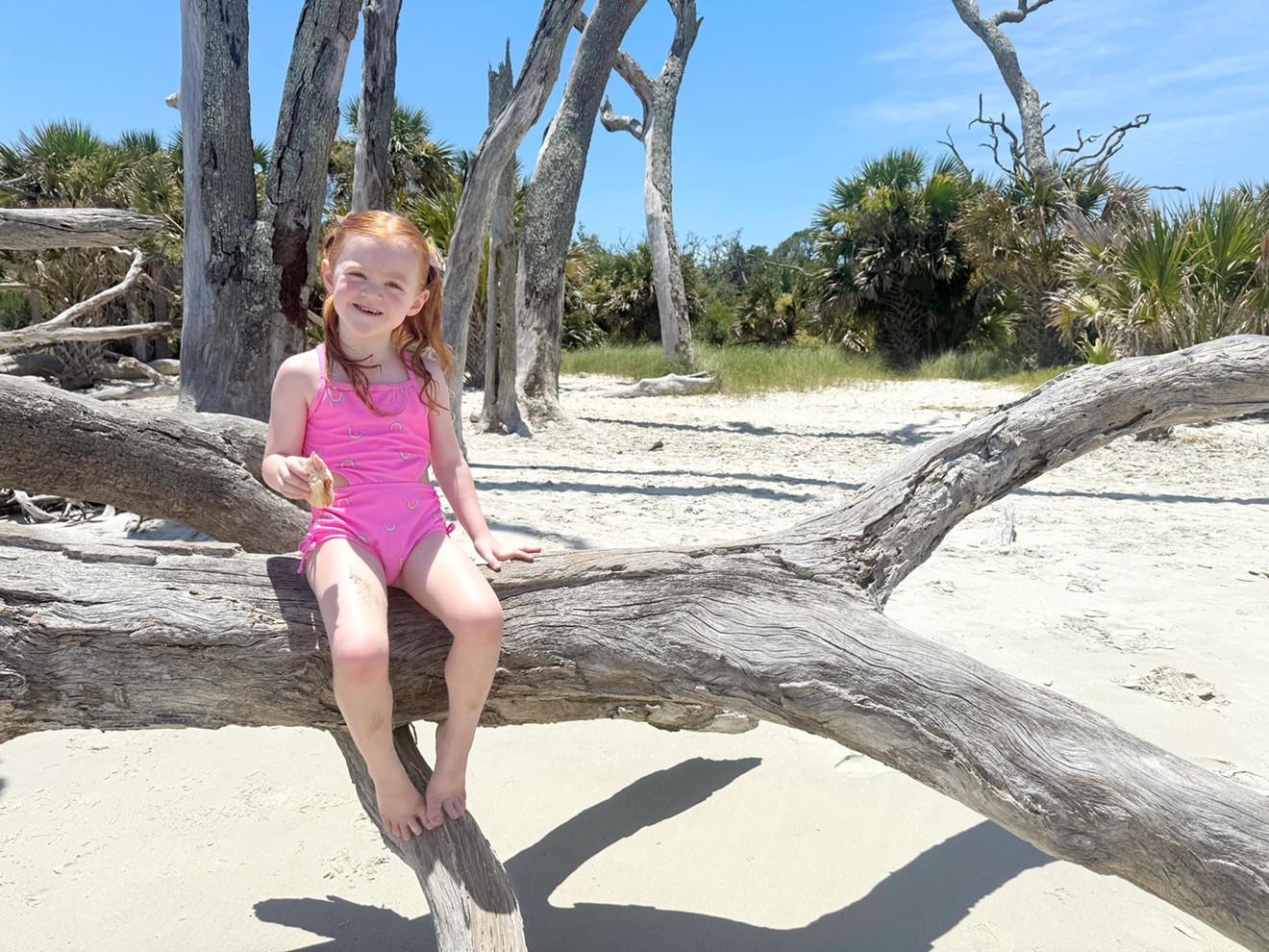 Four-year-old Charlotte Herren enjoying lunch on a tree at Driftwood Beach on Jekyll Island