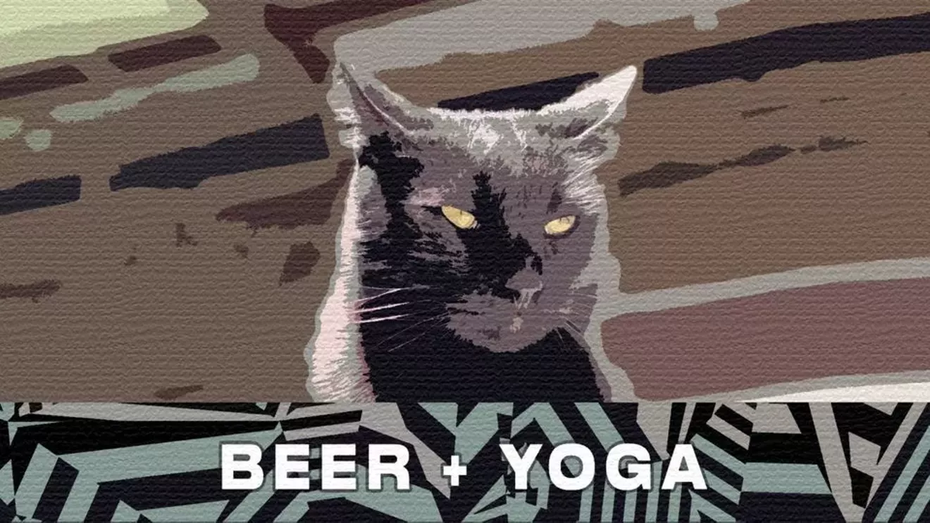 brew_cats-2.webp
