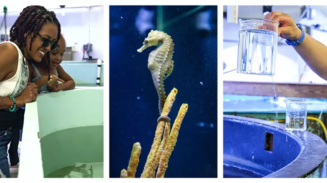 Image: Behind-the-Scenes Aquarium Tour