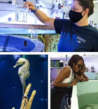 Image: Behind-the-Scenes Aquarium Tour