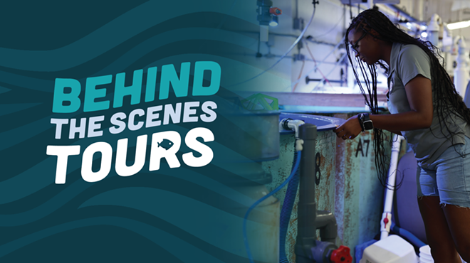 Image: Behind-the-Scenes Aquarium Tours
