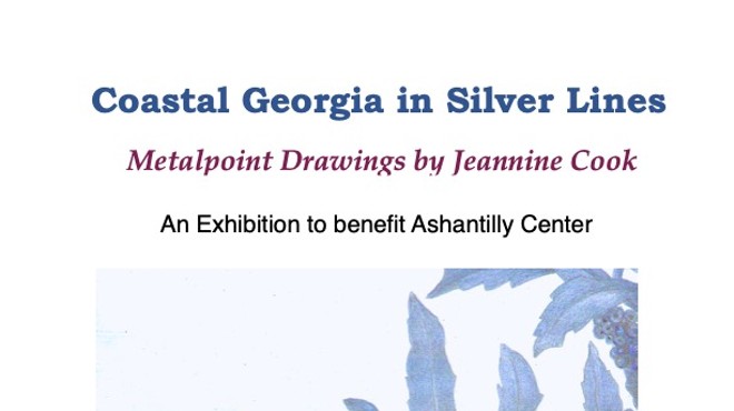 Coastal Georgia in Silver Lines
