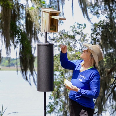 COMMUNITY SCIENCE IS FOR THE BIRDS: UGA Aquarium volunteers monitor nest boxes on the coast