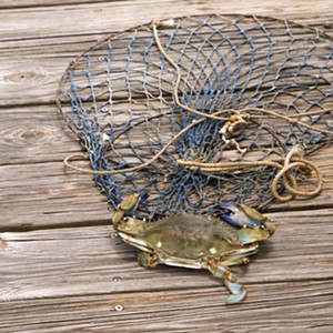 Crabbing 101