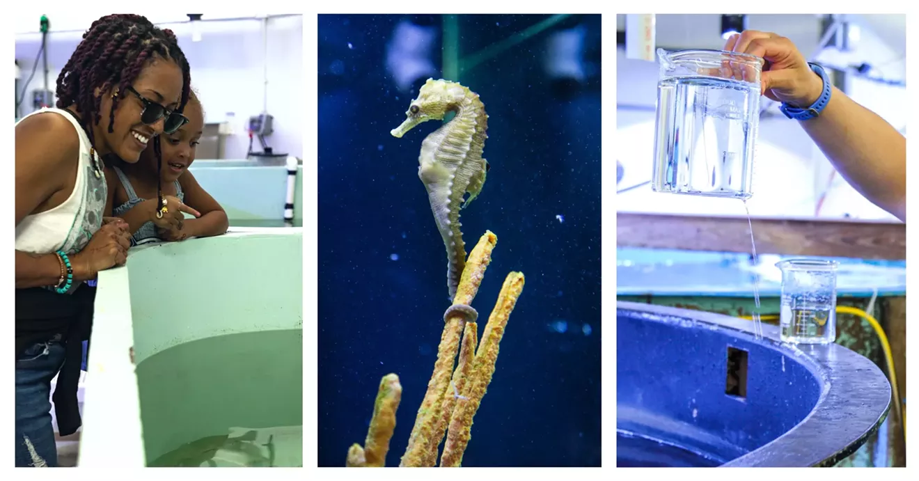 bts-aquarium-tour-2.webp