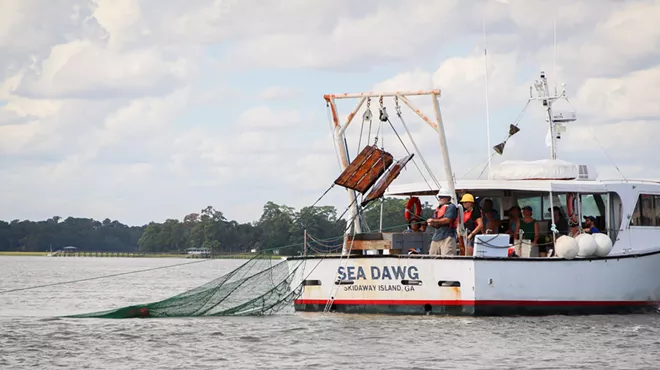Image: Estuary Trawl
