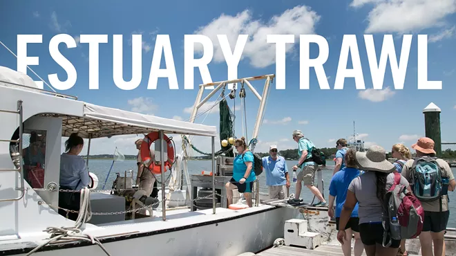 Image: Estuary Trawl