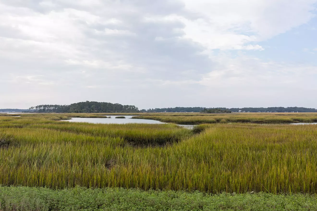 marsh-scene-01.webp