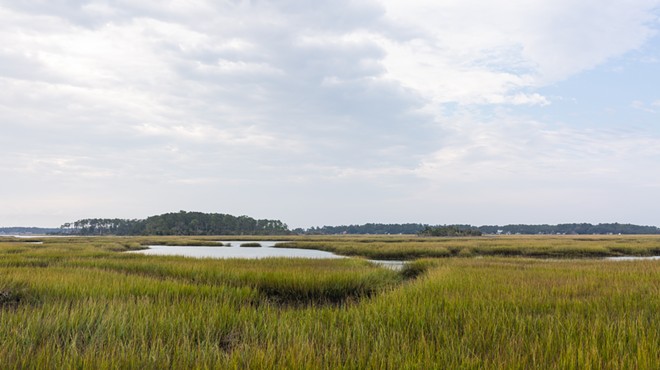 Finding Meaning in the Marsh: History