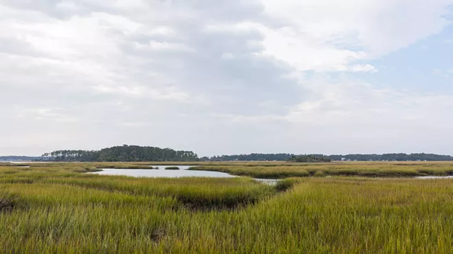Image: Finding Meaning in the Marsh: History