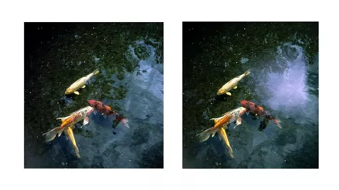Image: Four female photographers present showcase at The Drawing Room