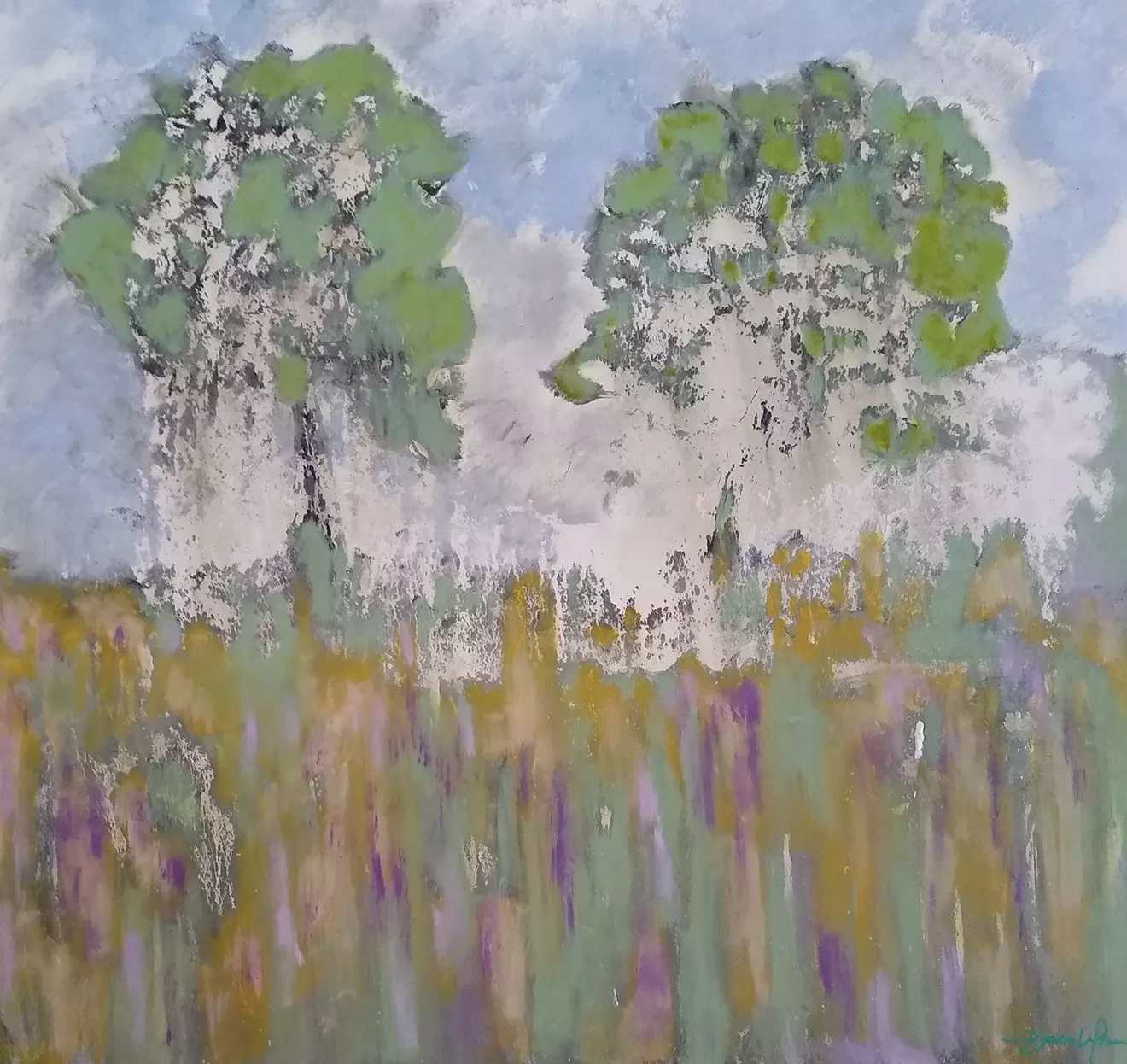 Island Oaks