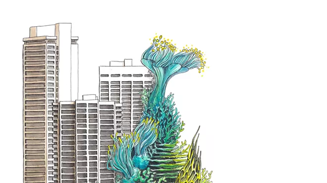 Image: Intricate Oceans: Coral in Contemporary Art Opening Reception