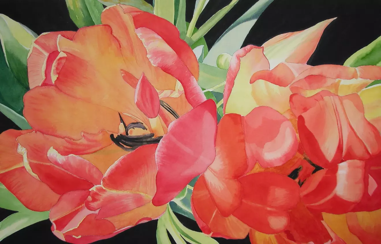 "Orange Tulips"