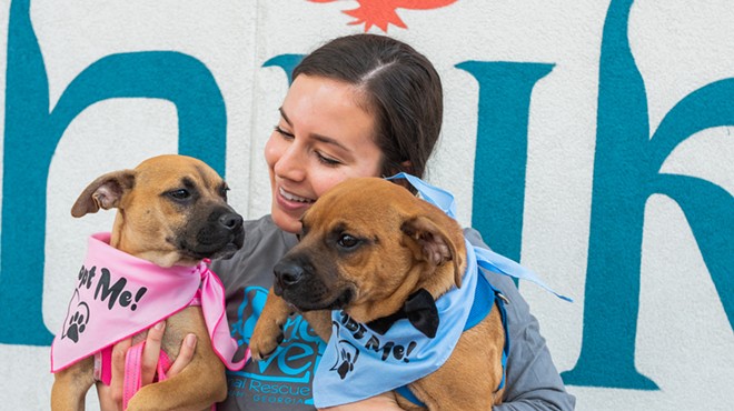 National Dog Day of summer at Shuk