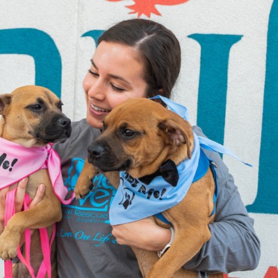 National Dog Day of summer at Shuk