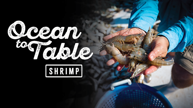 Image: Ocean to Table: Shrimp