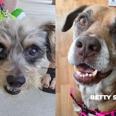 PETS OF THE WEEK