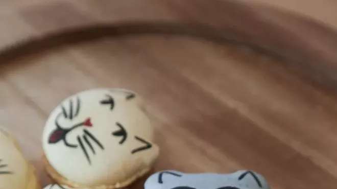 Image: Pounce Cat Cafe: For the love of coffee and kitties