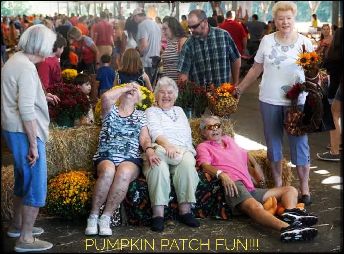 Pumpkin Patch Family Fun!