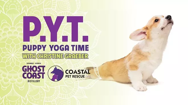 Image: PYT: Puppy Yoga Time