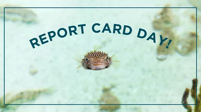 Image: Report Card Day