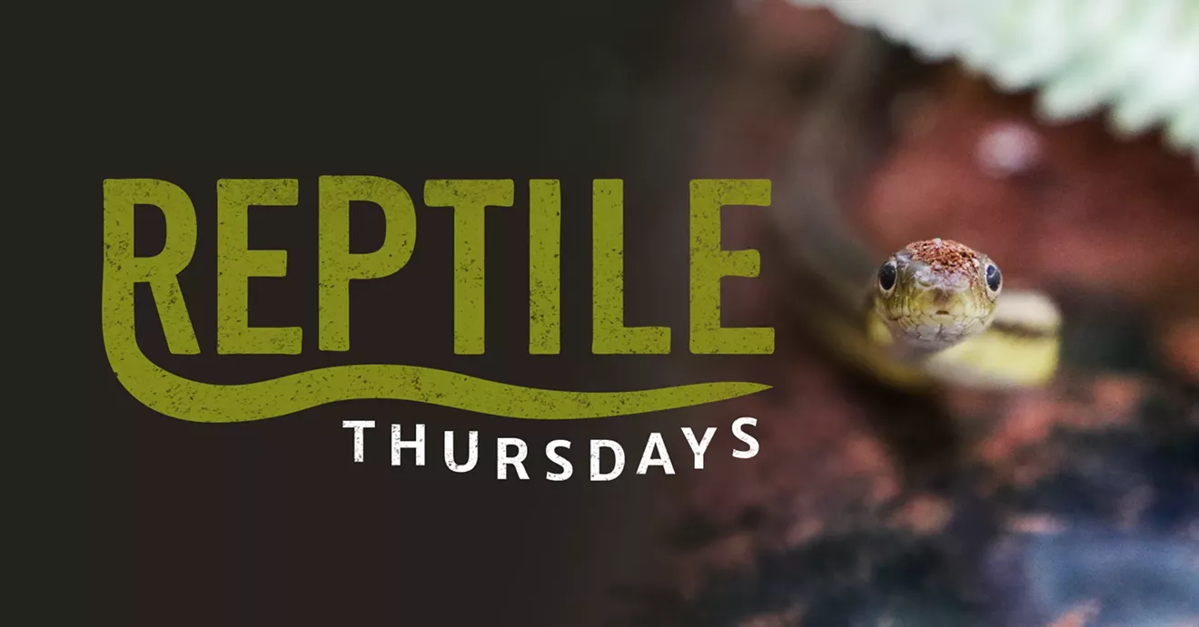 2023-reptilethursdays-fb-eventcover.webp