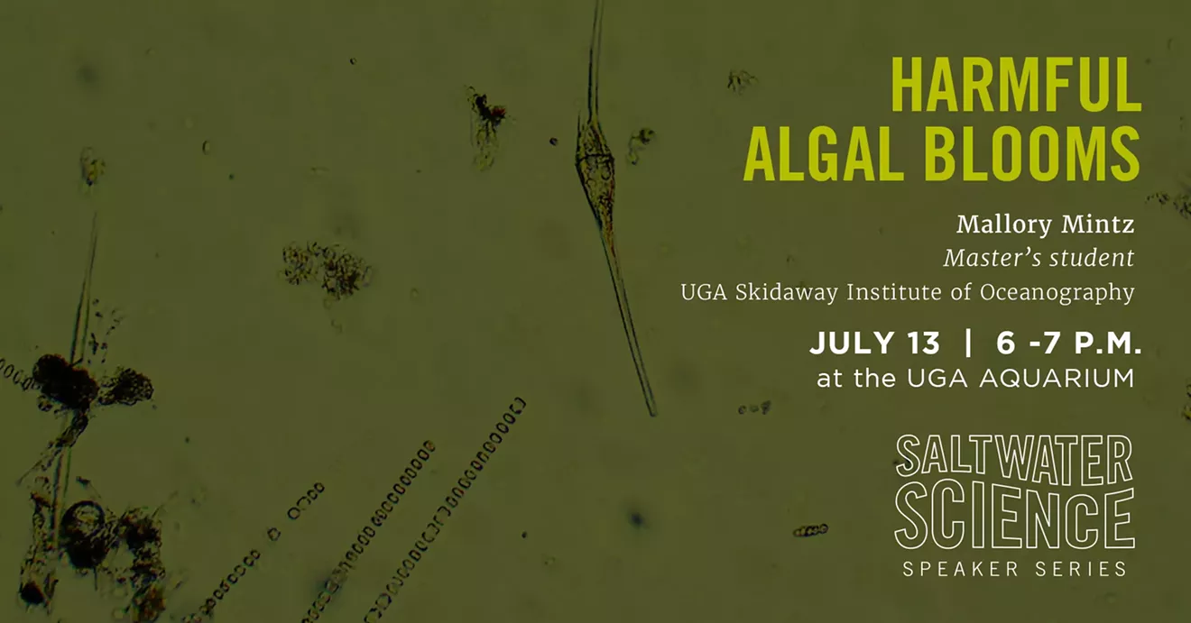 2023-saltwaterscience-harmfulagalblooms-fb-cover.webp