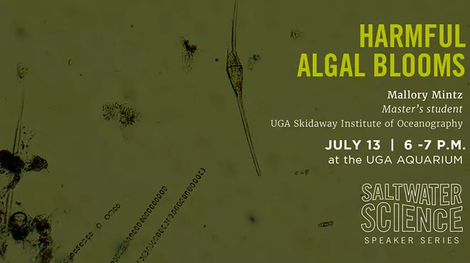 Image: Saltwater Science Speaker Series: Harmful Algal Blooms