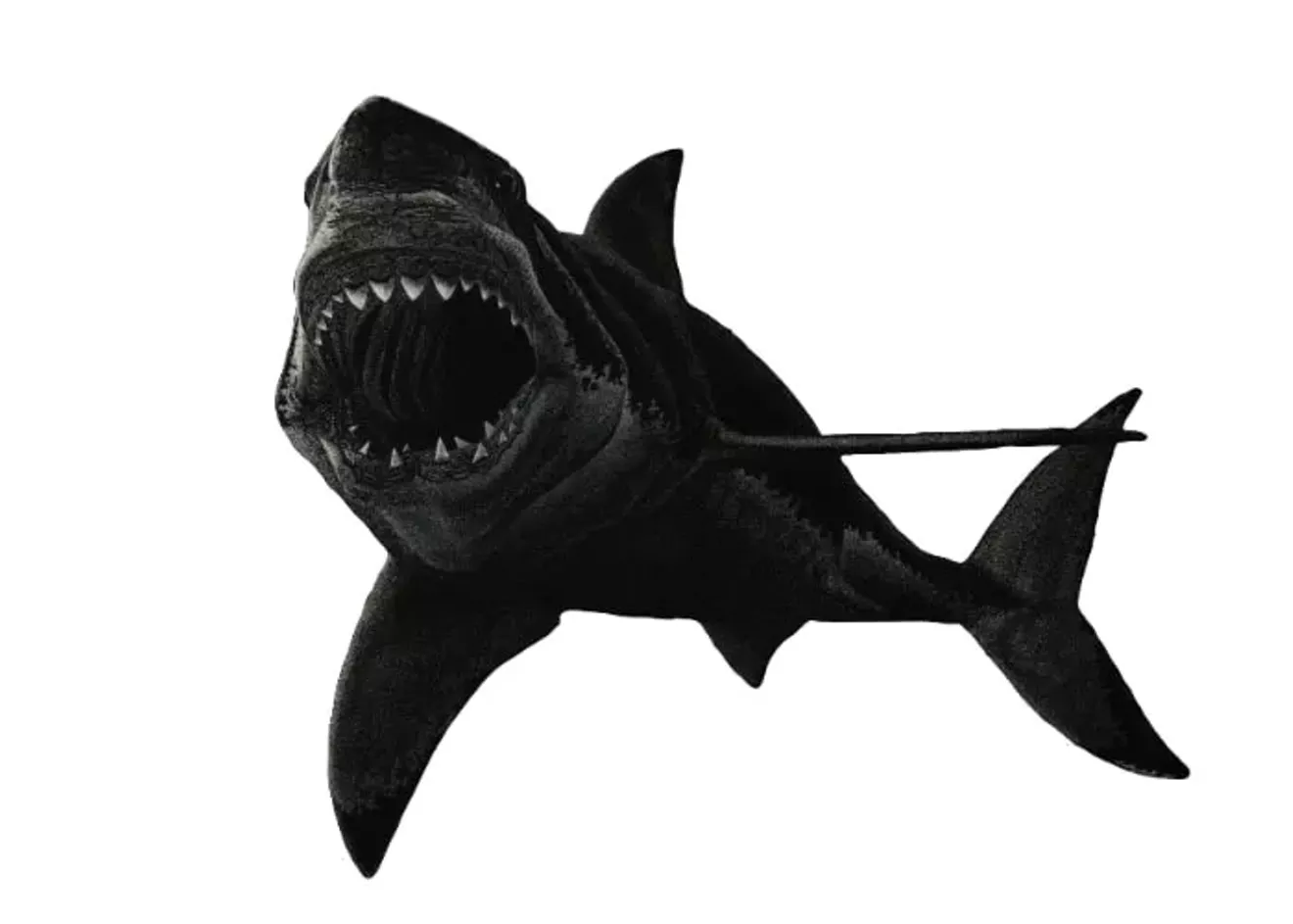 dsbbbwkc4eijlfcsxb0mlw.large.webp
