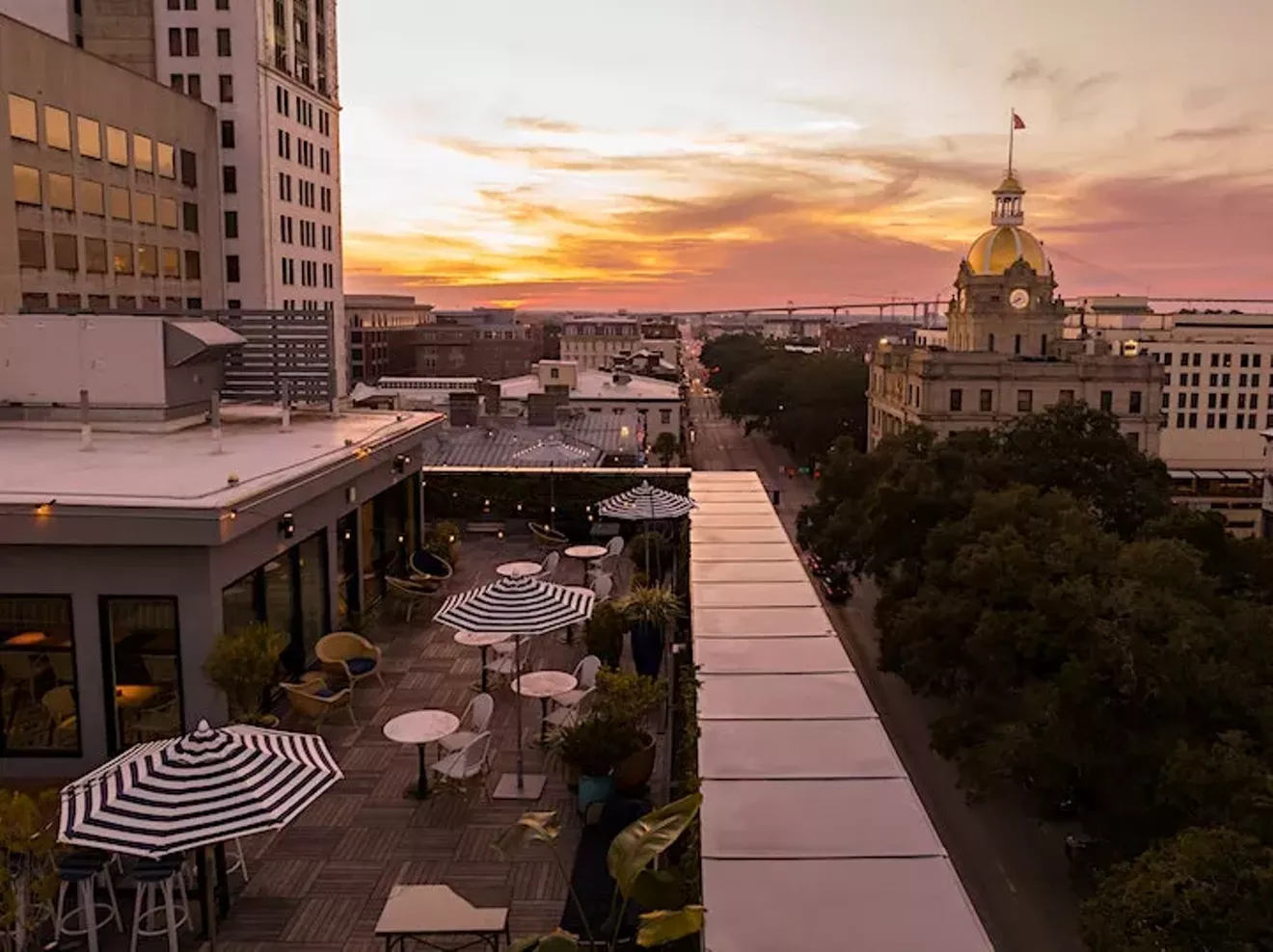 drayton-rooftop-.webp
