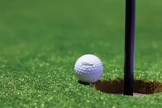 Image: Southeast Disc Dogs Benefit Golf Tournament