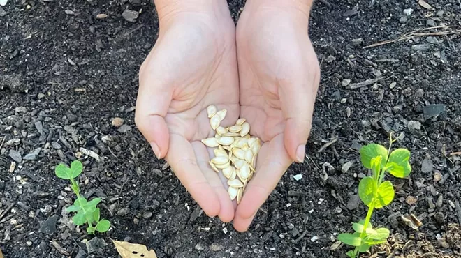 Image: Spring Seed Exchange