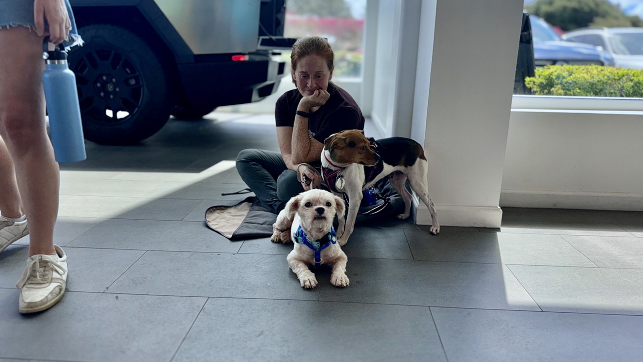 Tesla Hosts Renegade Paws Dog Adoption Event