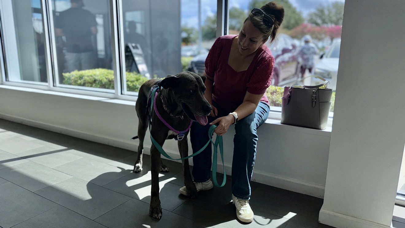 Tesla Hosts Renegade Paws Dog Adoption Event