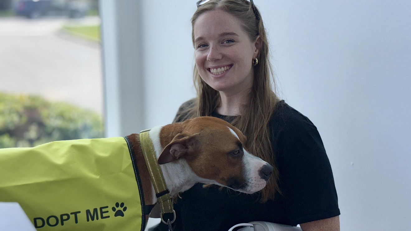 Tesla Hosts Renegade Paws Dog Adoption Event