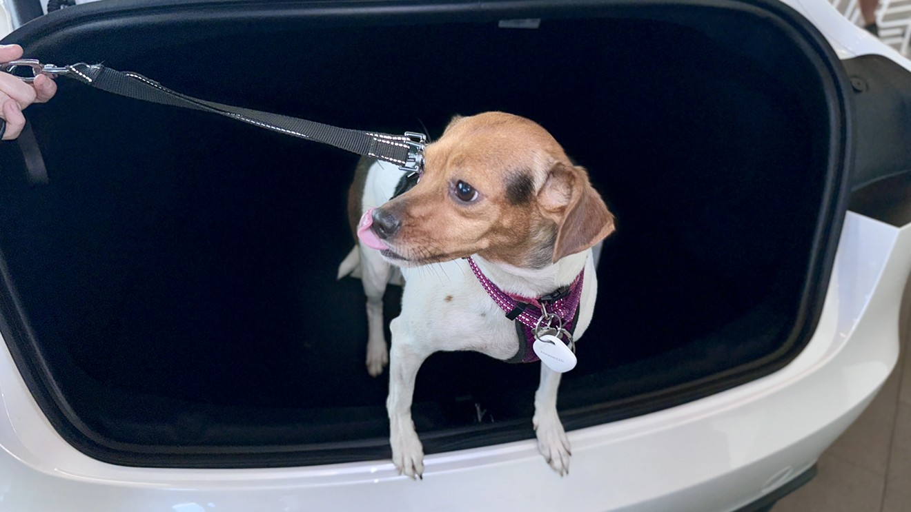 Tesla Hosts Renegade Paws Dog Adoption Event